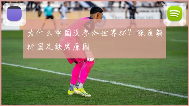 为什么中国没参加世界杯？深度解析国足缺席原因