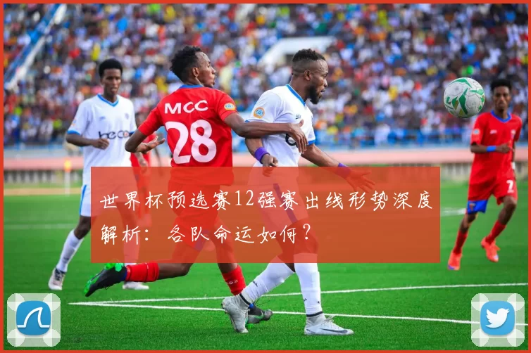世界杯预选赛12强赛出线形势深度解析:各队命运如何?