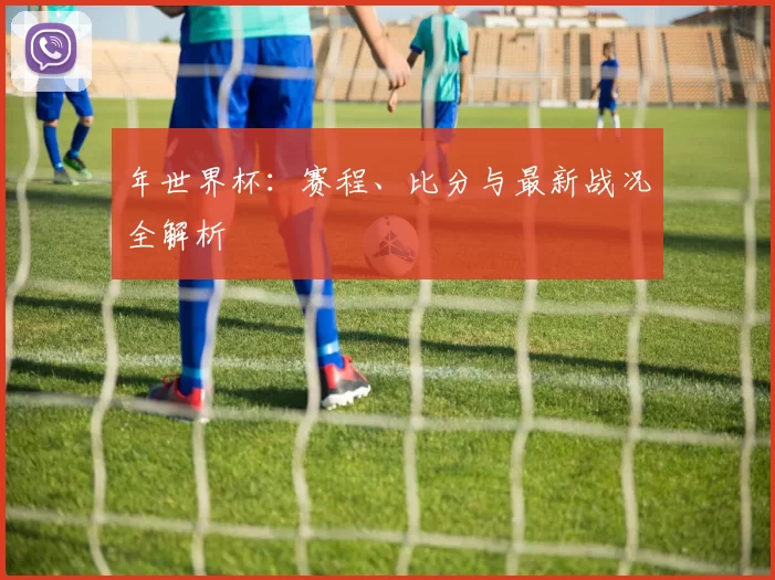 年世界杯：赛程、比分与最新战况全解析