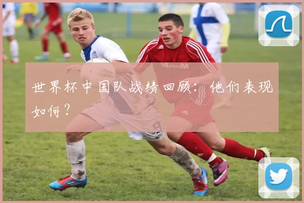 世界杯中国队战绩回顾：他们表现如何？