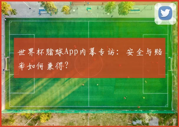世界杯赌球App内幕专访:安全与赔率如何兼得?