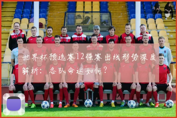 世界杯预选赛12强赛出线形势深度解析：各队命运如何？