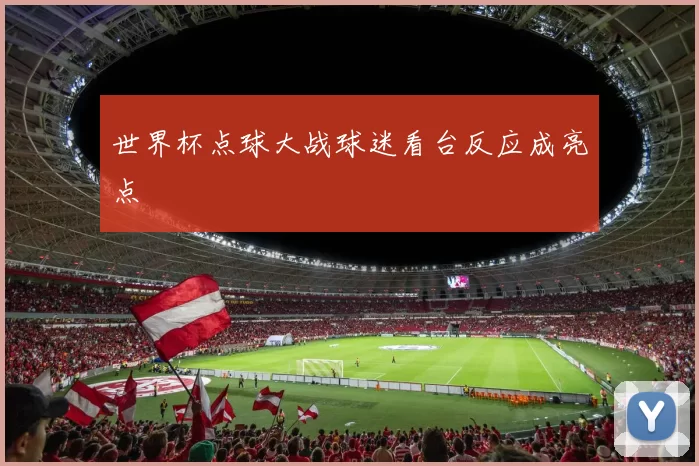 世界杯点球大战球迷看台反应成亮点