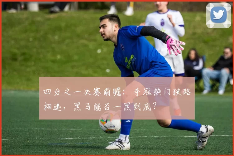 四分之一决赛前瞻:夺冠热门狭路相逢,黑马能否一黑到底?