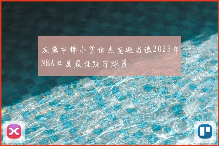 灰熊中锋小贾伦杰克逊当选2023年NBA年度最佳防守球员