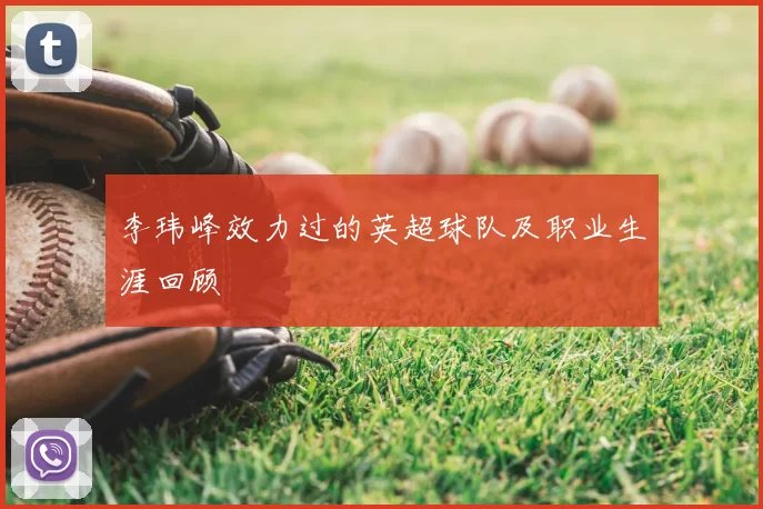李玮峰效力过的英超球队及职业生涯回顾