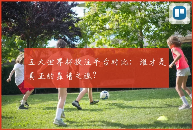 五大世界杯投注平台对比:谁才是真正的靠谱之选?