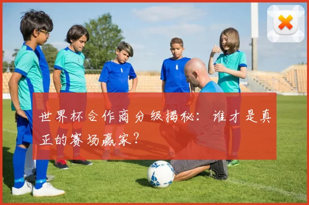世界杯合作商分级揭秘:谁才是真正的赛场赢家?
