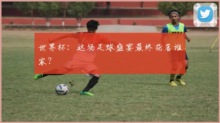 世界杯：这场足球盛宴最终花落谁家？