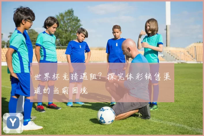世界杯竞猜遇阻？探究体彩销售渠道的当前困境