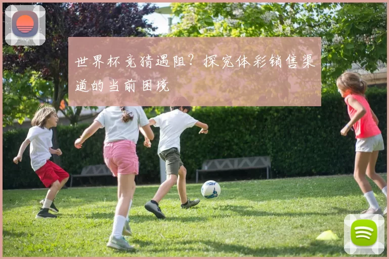 世界杯竞猜遇阻？探究体彩销售渠道的当前困境