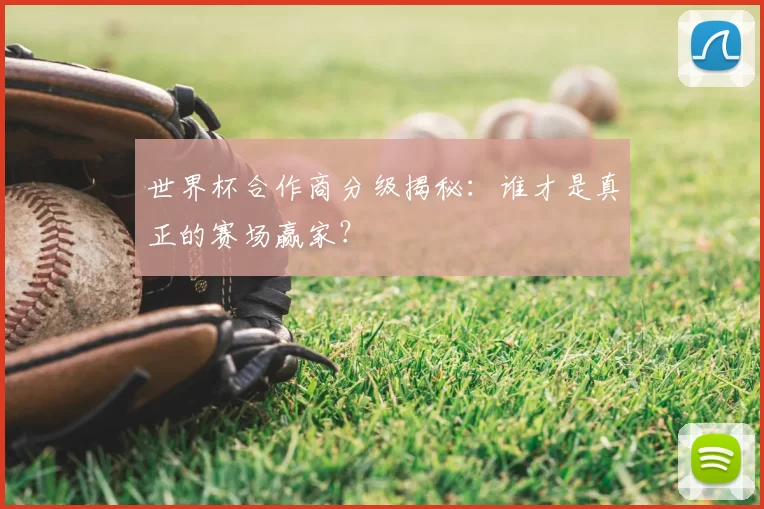 世界杯合作商分级揭秘：谁才是真正的赛场赢家？