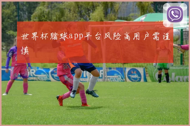 世界杯赌球app平台风险高用户需谨慎